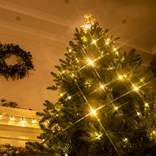 Load image into Gallery viewer, DELICHTER LED Lichterkette, 20M 200 LEDs Warm Weiße Wasserdichte Weihnachtslichterkette mit heller Lichter, 8 Modi, Strombetrieb für innen, Außen, Party, Fest, Weihnachten, Tannenbaum