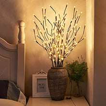 Load image into Gallery viewer, PEIDUO 6PK Branch Lights, 30Inch 120L LED Pathway Lights, for Christmas Room Decoration Indoor Apartment Outdoor Stake Lights for Lawn