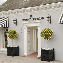 Load image into Gallery viewer, Eambrite 0utdoor Net Lights Battery Operated Waterproof, 84 LEDs Net Christmas Lights Warm White, 8 Modes Mesh Garden Lights for Topiary Ball Tree Holiday Decorations