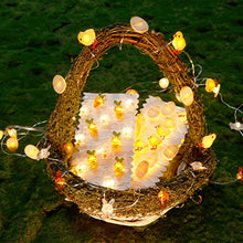Load image into Gallery viewer, PEIDUO Easter Decoration Lights, 10FT 60LT/pc Battery Operated Set of 2 Easter String Lights with Timer for Patio Yard Fireplace Party Easter and Spring Decor
