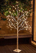Load image into Gallery viewer, EAMBRITE 5FT 168LT LED Starlit Birch Tree with Fairy Light Decor Home Holiday Wedding Party