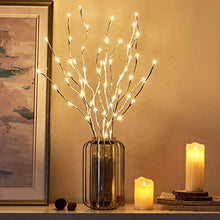 Load image into Gallery viewer, EAMBRITE Pre Lit White Birch Twig Branch Lights 30IN 60LT Plug in Lighted Willow Branch for Home Holiday Party Wedding Spring Decoration Indoor and Outdoor Use (Vase Excluded)
