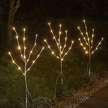 Load image into Gallery viewer, EAMBRITE 3er Set Lichterbaum 60LEDs Wasserdichte Lichterzweige 76CM Warmweißes Zweiglicht rein Weiß Außen-Innen Wohnug deko für Weihnachten Ostern Deko Halloween