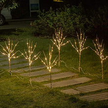 Load image into Gallery viewer, Vanthylit 3PK Lighted Birch Twig Branches with 30'' 90 LED Pathway Lights Waterproof Plug for Outdoor and Indoor Decor