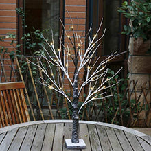 Load image into Gallery viewer, Eambrite Battery-Operated Snowy Twig Tree Lights with 24 Warm White LEDs Tabletop Christmas Tree Decor for Indoor use (60cm/2ft)