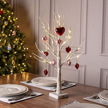 Load image into Gallery viewer, EAMBRITE 2FT White Birch Tree Battery Operated Tabletop Love Tree Decorative Home Wedding Party