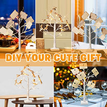 Load image into Gallery viewer, EAMBRITE Money Tree Gift Holder, Lighted Birch Tree 2FT 24LED, Battery/USB Powered Timer Light Up Display Twig Gift Card Tree with 12 Clear Clips and 6 Cards for Home Christmas Graduation Photo Memo