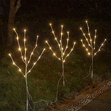 Load image into Gallery viewer, DELICHTER Baumzweige Lichter 76CM Warmweißes Zweiglicht rein Weiß Außen-Innen Wohnug deko für Weihnachten Ostern Halloween
