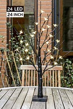 Load image into Gallery viewer, Eambrite Battery-Operated 24" Cherry Blossom Flower Bonsai Tree Lights with 24 Warm White LED for Indoor use