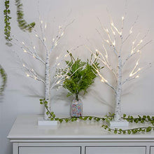 Load image into Gallery viewer, Vanthylit Easter Decorations, Pre-lit Easter Tree Lights with Timer, 2 Pack LED Birch Tree with Easter Ornaments, 2FT Easter Table Centerpiece Decoration, Easter Decorations for The Home