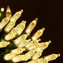 Load image into Gallery viewer, EAMBRITE 100LT Mini Christmas String Lights120V UL Certified for Patio Christmas Tree Garden Yard Indoor and Outdoor, Green Wire