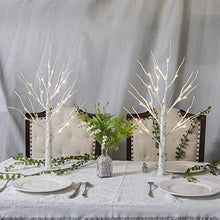 Load image into Gallery viewer, Vanthylit White Twig Christmas Tree with Lights 2FT Tabletop Birch Tree with 24 Warm White LEDs Battery Operated LED Birch Tree for Home Party Wedding Easter Christmas Decoration