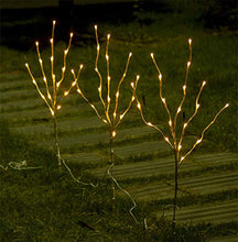 Load image into Gallery viewer, EAMBRITE Home Decorative Twig Lights Lighted White Twig Branches Pathway Stakes with 60 LED White Lights Waterproof Plug in for Outdoor and Indoor Decor (3PK, 76cm)