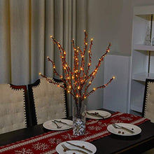 Load image into Gallery viewer, Vanthylit Lighted 76cm 3PK Decorative Twigs Branches Pathway Lights with 60LED Beads Branch Lights Waterproof Mains Powered Twig Lights for Indoor Outdoor Christmas Decoration