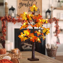 Load image into Gallery viewer, EAMBRITE Fall Tree 24 Inch Maple Tree with 24 LED Timer Battery Operated Autumn Tabletop Tree for Fall Thanksgiving Harvest Wedding Home Halloween Decorations