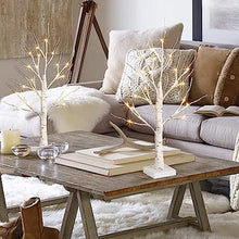Load image into Gallery viewer, EAMBRITE Lighted Birch Tree for Home Decor, Set of 2 Money Tree Indoor, Battery Operated Tabletop Mini Artificial Tree with Lights for Christmas Centerpiece Mantel Summer Decorations (2FT/Warm White)