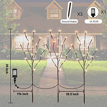 Load image into Gallery viewer, PEIDUO Lighted Willow Branch 30Inch 3PK 60L LED Pathway Lights for Home Decoration Indoor Apartment Outdoor Stake Lights for Lawn