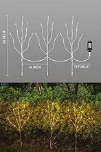Load image into Gallery viewer, EAMBRITE Lighted White Branches 30IN 60 LED, Natural Decorative Willow Branches Twig Lights Plug in for Vases, Tree Lamp for Home Party Wedding Holiday Indoor Outdoor Room Decoration