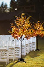 Load image into Gallery viewer, EAMBRITE 6FT LED Lighted Floor Standing Maple Tree with 144 Warm White LED Pre lit Artificial Fall Tree Plug in for Home Holiday Thanksgiving Birthday Wedding Party Decor