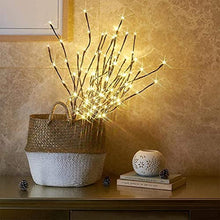 Load image into Gallery viewer, Vanthylit Lighted Twig Willow Branches with Dimmer 30” Brown Branches with 60LT Warm White Light for Home Holiday Christmas Decoration Indoor and Outdoor Use