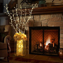 Load image into Gallery viewer, Vanthylit Lighted Twig Branch Stakes 34” 3PK Silver Metal Branch Lights with 114LT Warm White Spring Decor for Home Holiday Christmas Floor Vase Tabletop Decoration Indoor and Outdoor Use