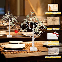 Load image into Gallery viewer, PEIDUO Set of 2 Money Trees, Lighted 2FT 24LT Gift Card Tree with Clips and Greeting Cards, Money Tree Gift Holder for Birthday, Christmas, Halloween, Wedding, Graduation and Back to School Gifts