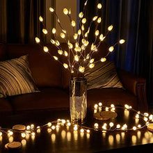 Load image into Gallery viewer, EAMBRITE Christmas Decorations 2.7m 84 LEDs Frosted Ball Brown Garland with Warm White Light Waterproof Vine with Fairy Lights Plug in for Indoor Outdoor Home Garden Party Decoration
