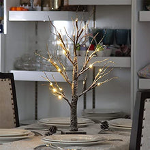 Load image into Gallery viewer, Eambrite Battery-Operated Snowy Twig Tree Lights with 24 Warm White LEDs Tabletop Christmas Tree Decor for Indoor use (60cm/2ft)