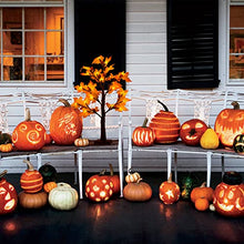 Load image into Gallery viewer, Vanthylit Lighted Fall Tree with 24 LED Thanksgiving Decorations Maple Tree Battery Operated Table Lights Autumn Decorations for Home