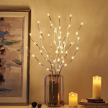 Load image into Gallery viewer, EAMBRITE Lighted White Branches 30IN 60 LED, Natural Decorative Willow Branches Twig Lights Plug in for Vases, Tree Lamp for Home Party Wedding Holiday Indoor Outdoor Room Decoration