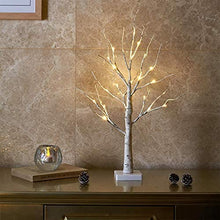 Load image into Gallery viewer, EAMBRITE Ostereibaum mit Lichtern, batteriebetriebener weißer LED Baum mit Oster Dekorationen, Tisch dekor Baum für Zuhause und Party (60 cm / 24 warmweiße Lichter)