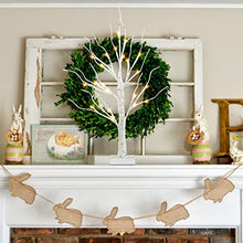 Load image into Gallery viewer, Vanthylit Lighted Tree Christmas Decorations Indoor, White Birch Tree with LED Lights Battery Powered Timer, Tabletop Tree Winter Decor, Light Up Tree Mantle Christmas Decor (2FT, Warm White)