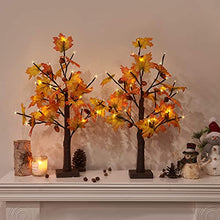 Load image into Gallery viewer, Vanthylit Lighted Fall Tree with 24 LED Thanksgiving Decorations Maple Tree Battery Operated Table Lights Autumn Decorations for Home