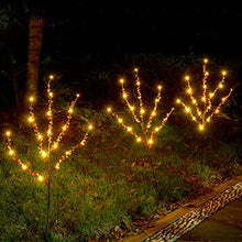 Load image into Gallery viewer, EAMBRITE Natural Twig Branches with Amber Beads 30IN 60LT Lighted Willow Branch Plug in for Home Party Wedding Holiday Decoration Indoor Outdoor Use(Vase Excluded)