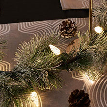 Load image into Gallery viewer, EAMBRITE 50LT C9 Christmas String Lights120V UL Certified for Patio Christmas Tree Garden Yard Indoor and Outdoor, Green Wire