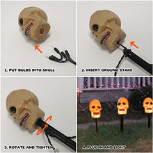 Load image into Gallery viewer, PEIDUO 4PK Halloween Yard Stakes with 20LT Warm White Lights, Skeleton Skull Pathway Lights for Outdoor Driveway Walkway Garden Lawn Decor, Sidewalk Decorations