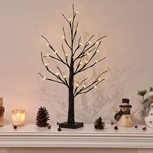 Load image into Gallery viewer, Vanthylit 2FT Battery Operated Cherry Blossom Bonsai Tree Lighted with 24Led Warm White for Home Night Light Festival Party