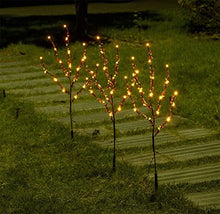 Load image into Gallery viewer, Vanthylit Lighted Branches with 3PK 60LED Twig Lights Plug in for Home Decoration, Light up Willow Branch Lights for Vases