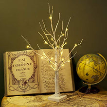 Load image into Gallery viewer, EAMBRITE Tabletop Tree Christmas Decorations, Mini Birch Tree with Lights, 24 LED Lighted Money Tree White Twig Tree Battery Operated with Timer, Home Centerpiece, Indoor Decor(2FT/Warm White)