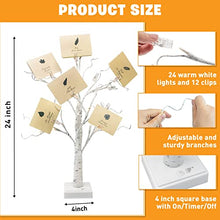 Load image into Gallery viewer, EAMBRITE Money Tree Gift Holder, Lighted Birch Tree 2FT 24LED, Battery/USB Powered Timer Light Up Display Twig Gift Card Tree with 12 Clear Clips and 6 Cards for Home Christmas Graduation Photo Memo