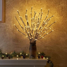 Load image into Gallery viewer, EAMBRITE Set of 2, 3PK 30" Brown Wrapped Lighted Twig Stake with 60LT Warm White LED Bulbs for Outdoor and Indoor use(Vase Excluded)