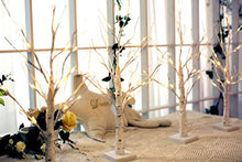 Load image into Gallery viewer, EAMBRITE Lighted Birch Tree for Home Decor, Set of 2 Money Tree Indoor, Battery Operated Tabletop Mini Artificial Tree with Lights for Christmas Centerpiece Mantel Summer Decorations (2FT/Warm White)