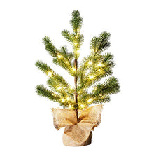Load image into Gallery viewer, EAMBRITE LED Pine Needle Tree Light – 1.5FT Realistic Mini Christmas Tree – Pre-lit Pine Needle Tree with 36lt Warm White Fairy Lights – Lighted Artificial Tree with 12 Branches