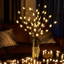 Load image into Gallery viewer, EAMBRITE 30IN 60LT Lighted Brown Twig Branches with Outdoor Stakes Plug in Powered for Garden Patio Backyard Indoor and Outdoor Decoration (Vase Excluded)
