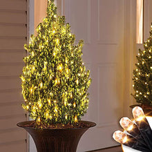 Load image into Gallery viewer, EAMBRITE Christmas Lights 60LT Bush Net Lights Diamond Shape LEDs 8 Modes Timer Waterproof Battery Powered for Yard Bushes Indoor Outdoor Decorations (Warm White)