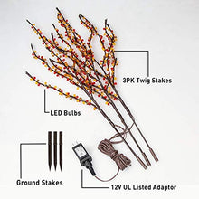 Load image into Gallery viewer, EAMBRITE Natural Twig Branches with Amber Beads 30IN 60LT Lighted Willow Branch Plug in for Home Party Wedding Holiday Decoration Indoor Outdoor Use(Vase Excluded)