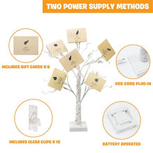 Load image into Gallery viewer, EAMBRITE Money Tree Gift Holder, Lighted Birch Tree 2FT 24LED, Battery/USB Powered Timer Light Up Display Twig Gift Card Tree with 12 Clear Clips and 6 Cards for Home Christmas Graduation Photo Memo