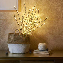 Load image into Gallery viewer, Vanthylit 3PK 30" Brown Lighted Twig Branches Pathway Light 60 LED Warm White Bulbs for Outdoor and Indoor