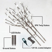Load image into Gallery viewer, EAMBRITE 30IN 60LT Lighted Brown Twig Branches with Outdoor Stakes Plug in Powered for Garden Patio Backyard Indoor and Outdoor Decoration (Vase Excluded)
