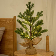 Load image into Gallery viewer, Vanthylit Spring Decor, 1.5FT Pine Tree with 36 Warm White Fairy Lights Tabletop Tree, Small Pre-lit Pine Tree for Home Decorations